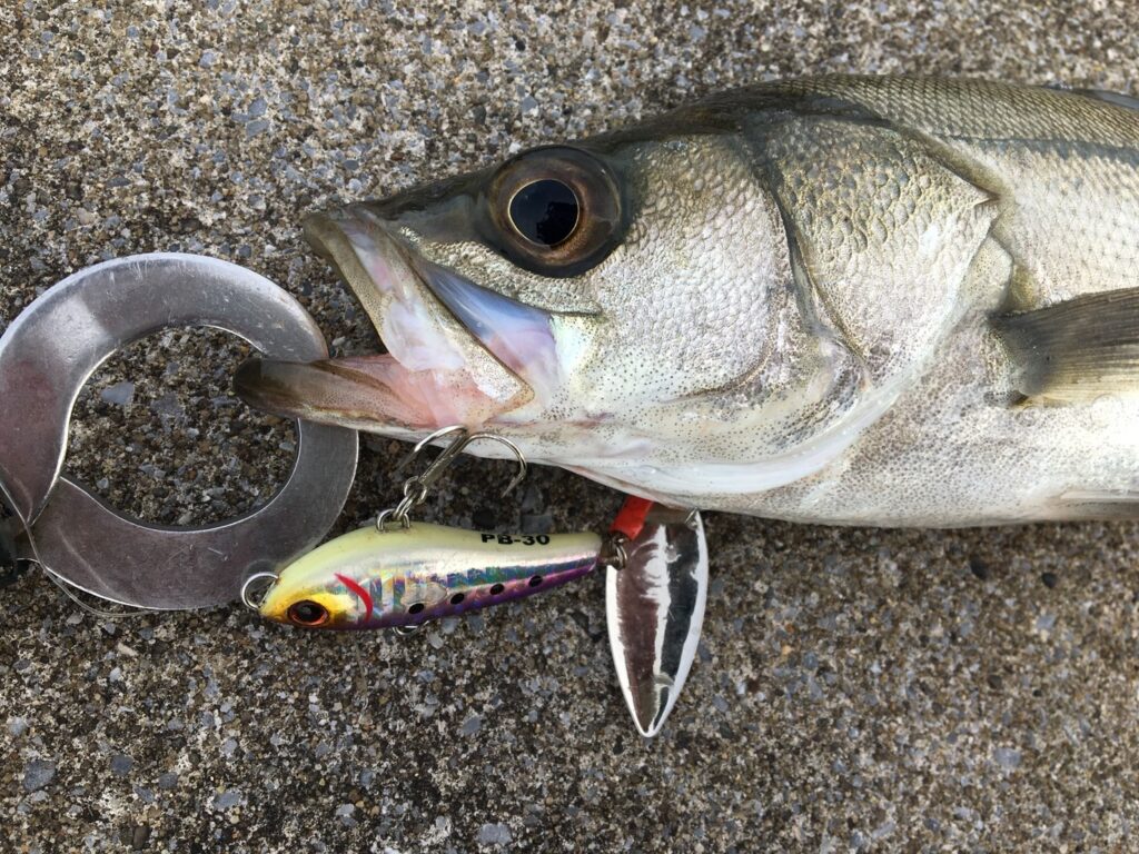 ダイソー釣具新商品の スイベル付ブレード を徹底レビュー なるフィッシュ