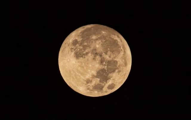 満月の画像