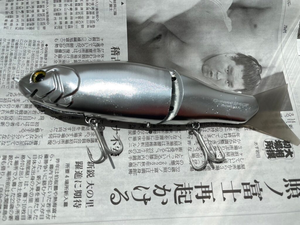 ゴメクサスからビッグベイト!?サイバーベイトのインプレや気になる 